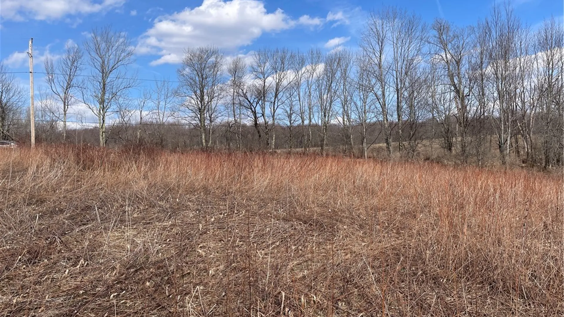Property at 0 Swantak Road, Kortright, NY 13842 4