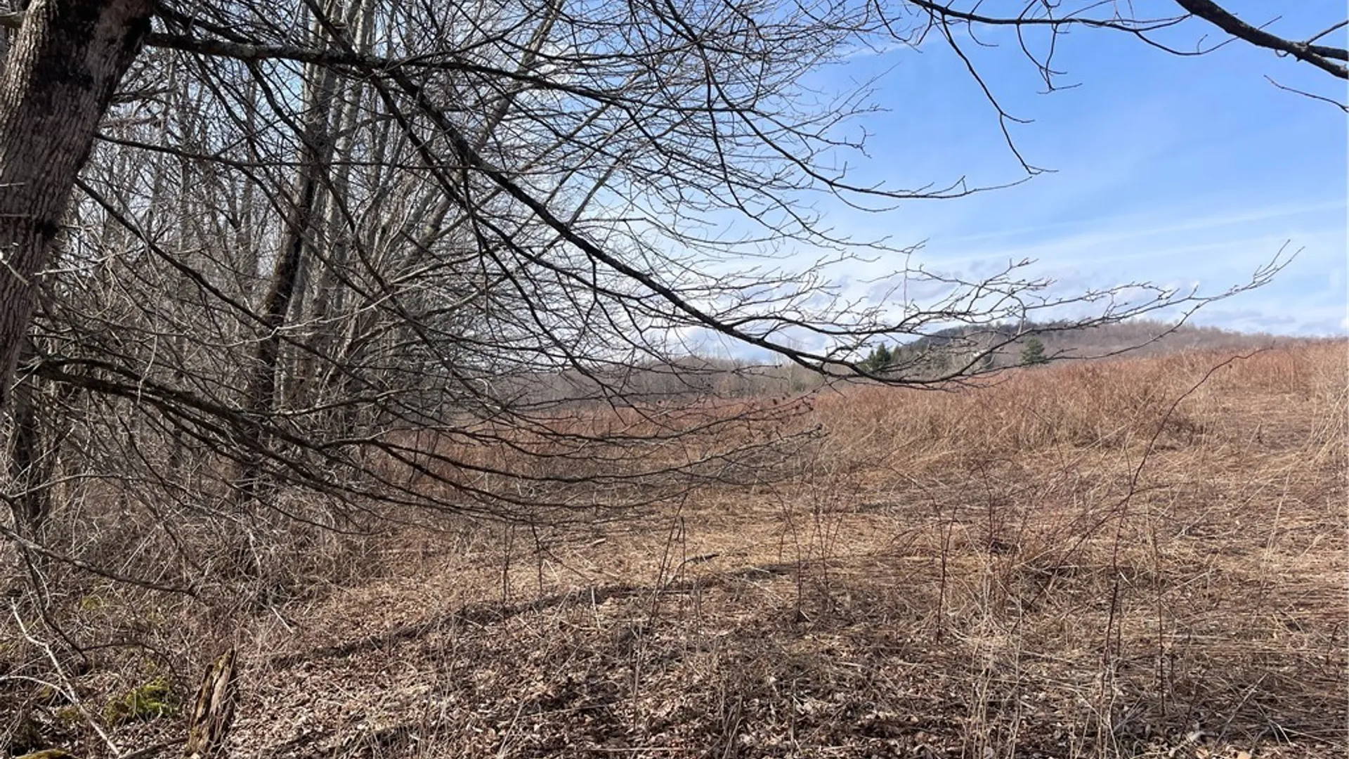 Property at 0 Swantak Road, Kortright, NY 13842 5