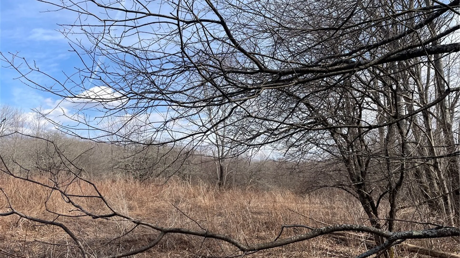 Property at 0 Swantak Road, Kortright, NY 13842 6