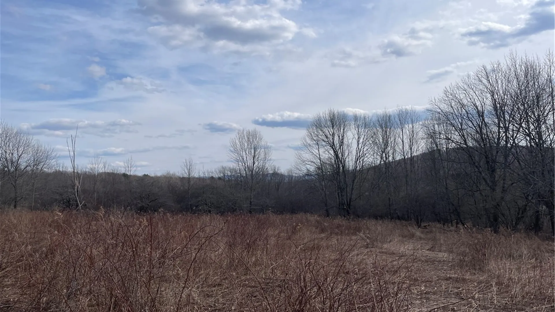 Property at 0 Swantak Road, Kortright, NY 13842 7