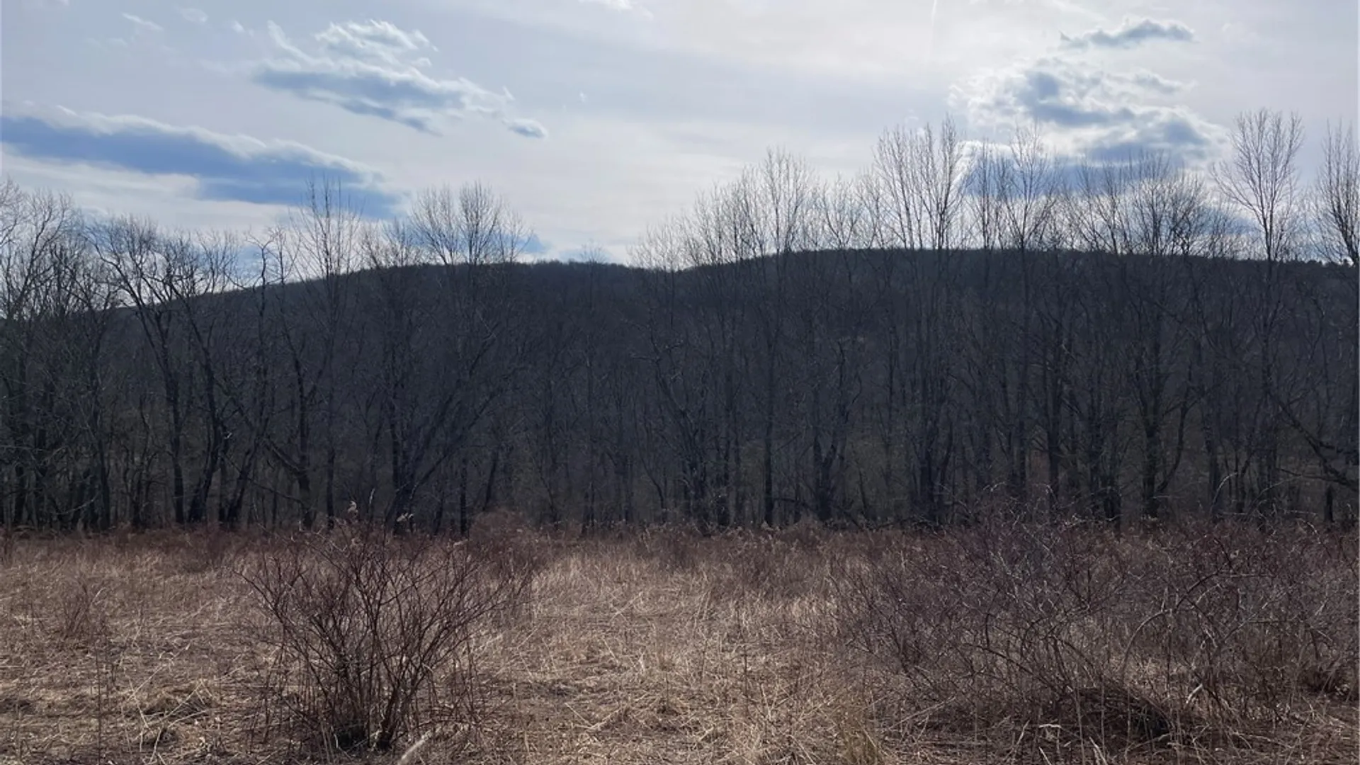 Property at 0 Swantak Road, Kortright, NY 13842 9