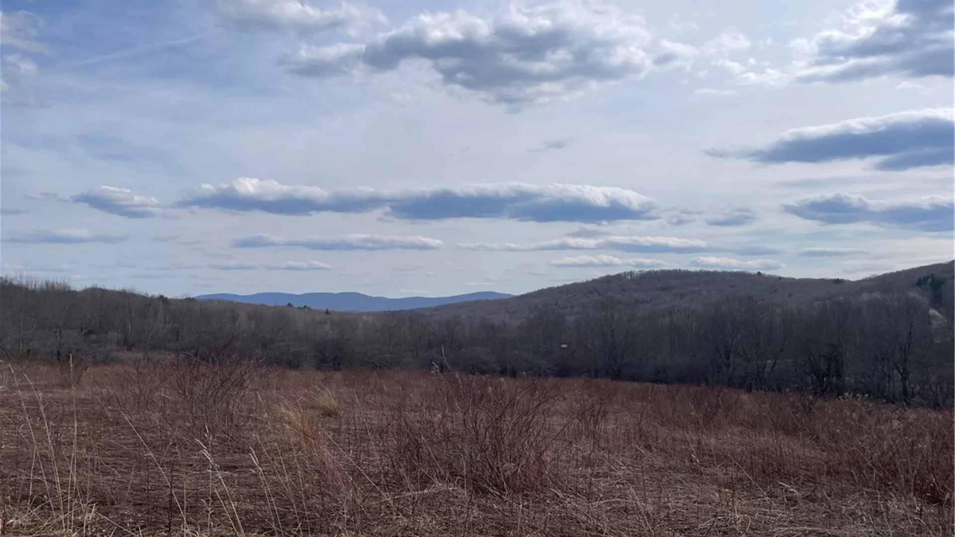 Property at 0 Swantak Road, Kortright, NY 13842 8