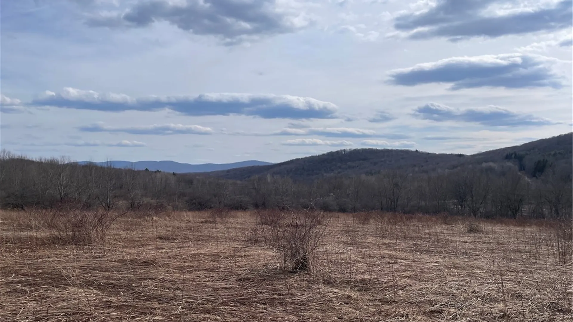 Property at 0 Swantak Road, Kortright, NY 13842 11