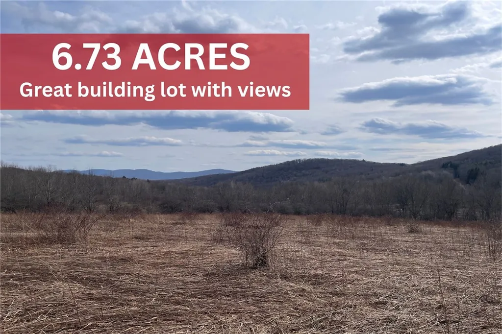 Property at 0 Swantak Road, Kortright, NY 13842