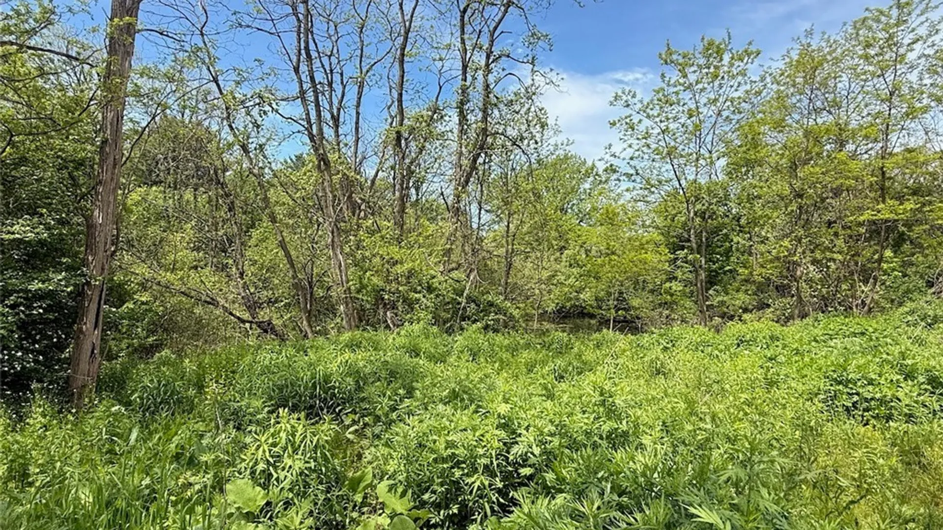 Property at 1559 County Route 48, Sandy Creek, NY 13083 5