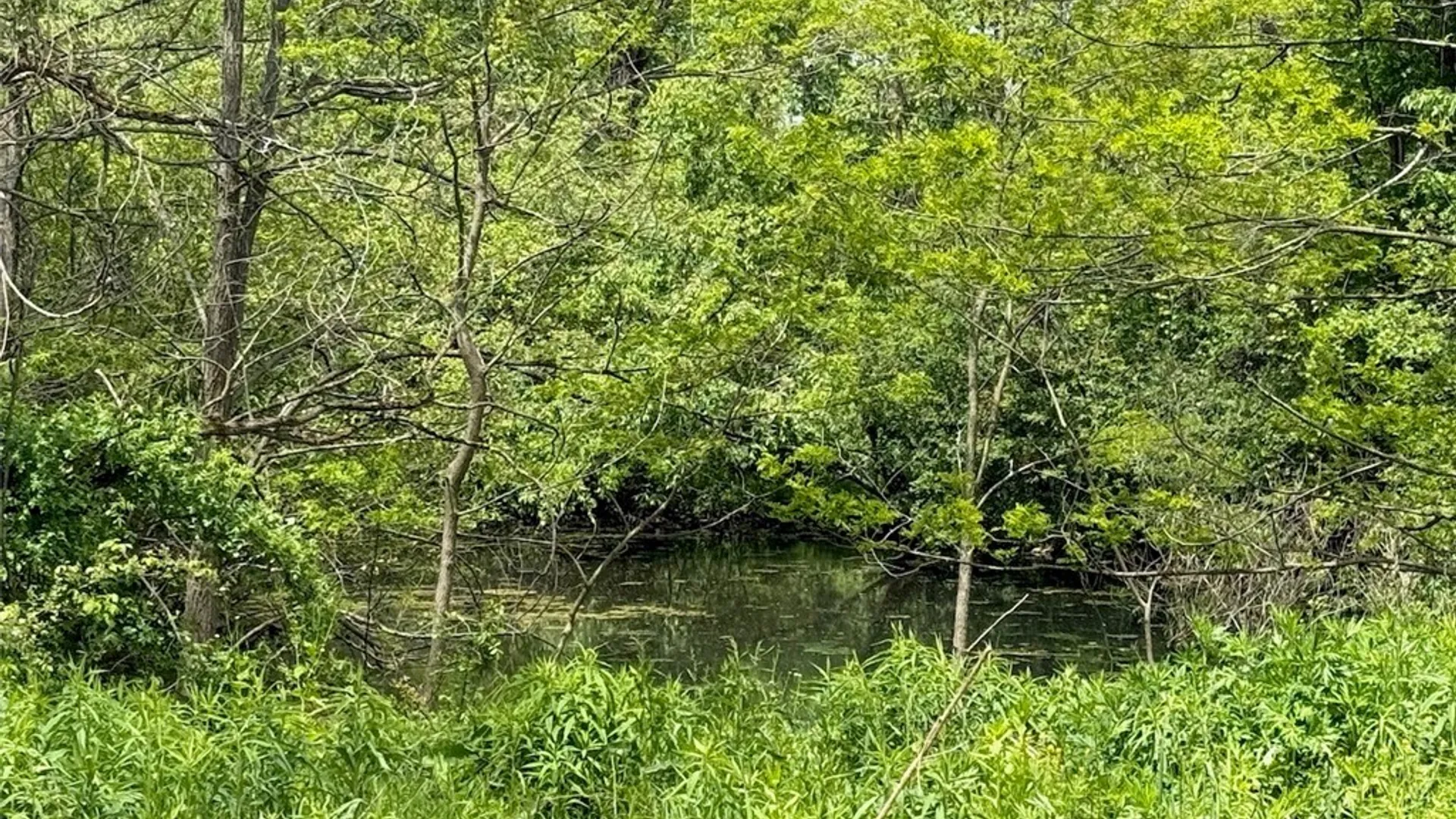 Property at 1559 County Route 48, Sandy Creek, NY 13083 21