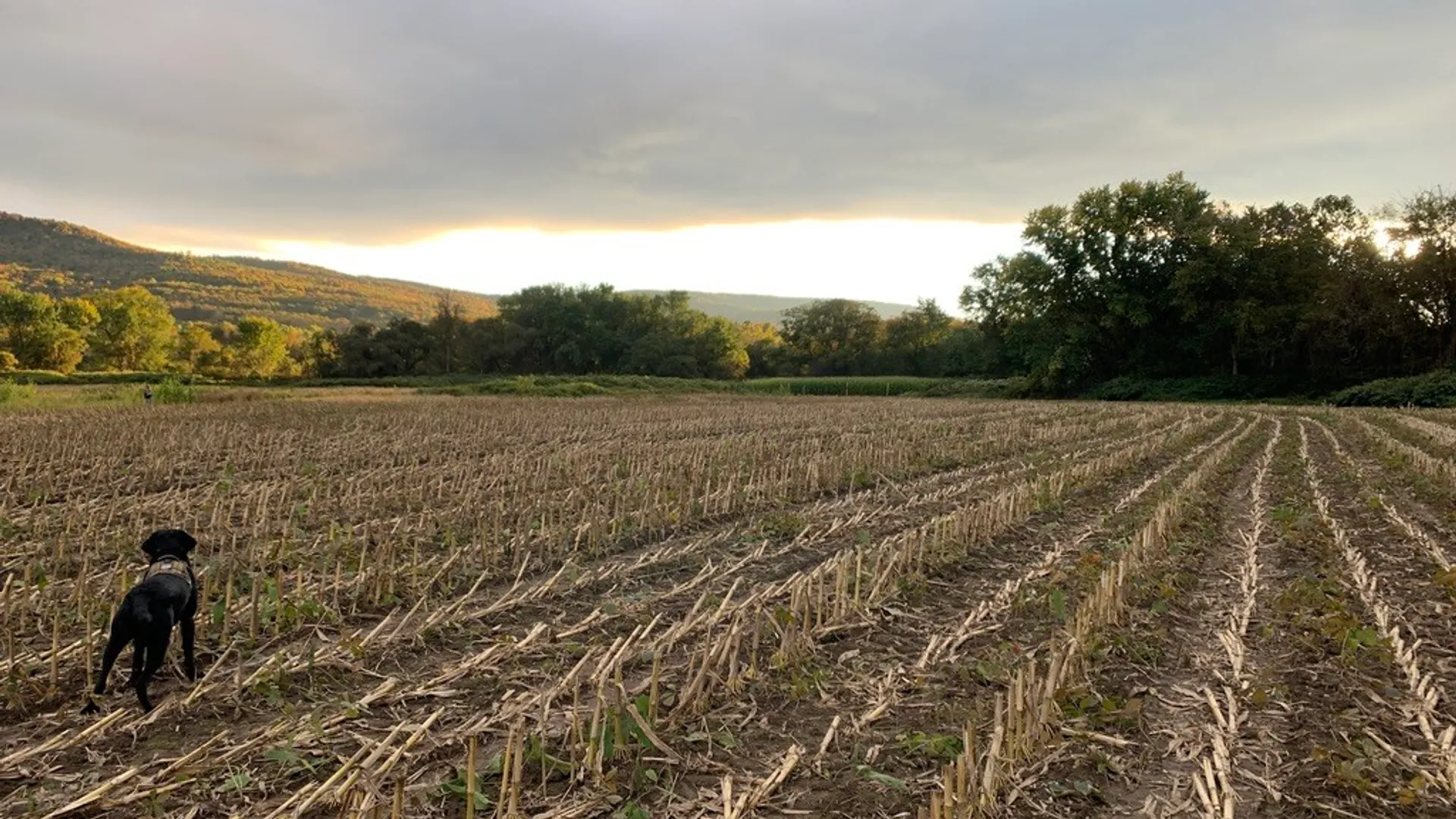 Property at State Highway 23, Oneonta, NY 13820 15