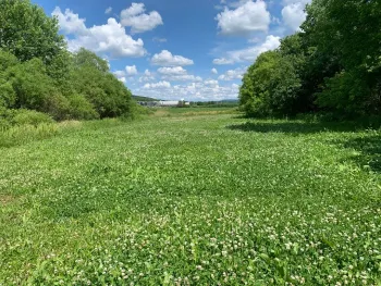 Property at State Highway 23, Oneonta, NY 13820