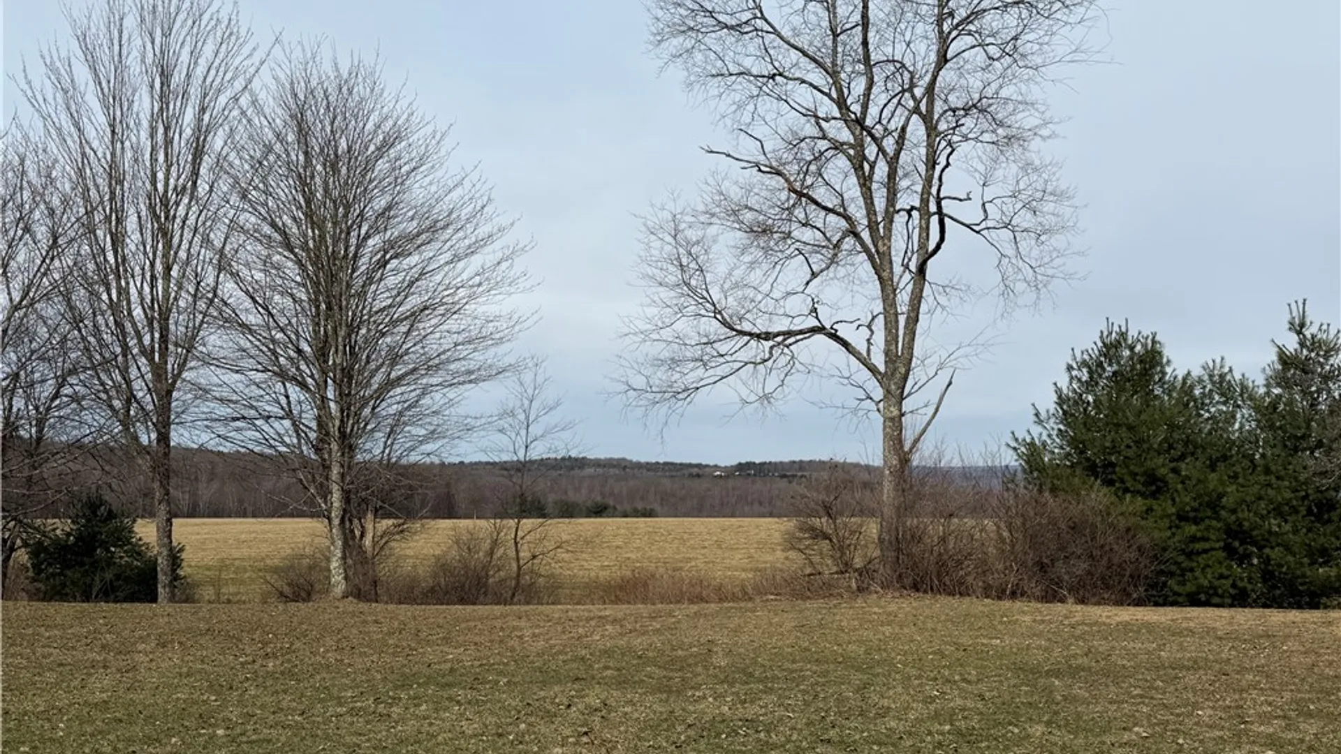 Property at 233 Kilroy Road, Oxford, NY 13830 5