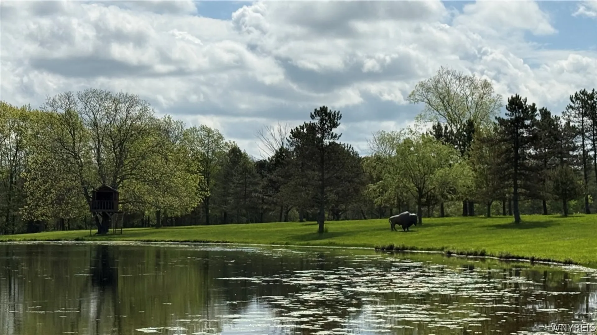 Property at 6975 Sweetland Road, Evans, NY 14047 38