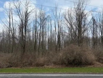 Property at 00 V/L McVean Road, Darien, NY 14036