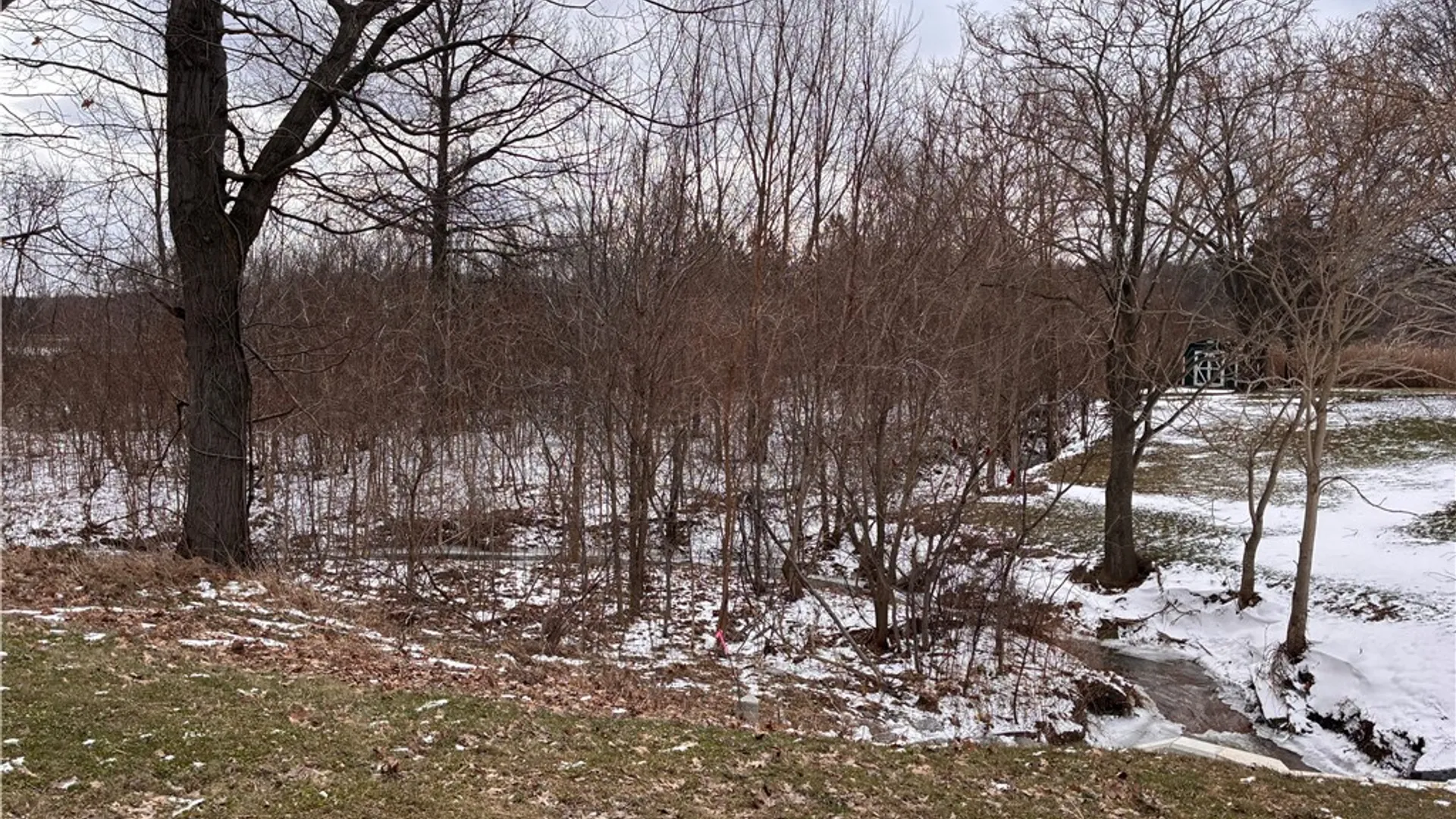 Property at 2330 Ridge Road, Lewiston, NY 14092 13