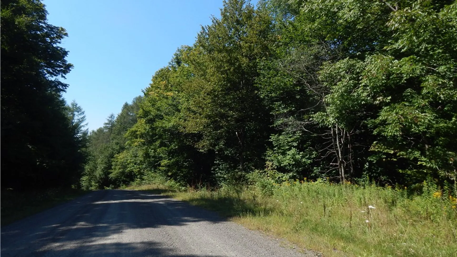 Property at 0 Sam Holdridge Road, Burlington, NY 13482 11