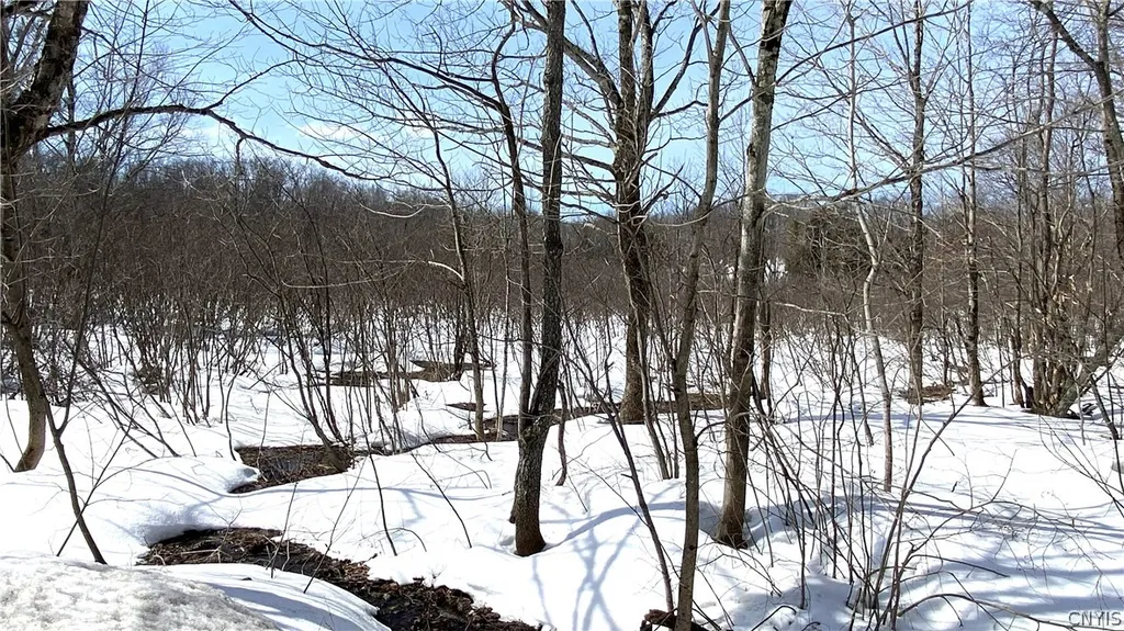 Property at Town Line Road, Lorraine, NY 13659