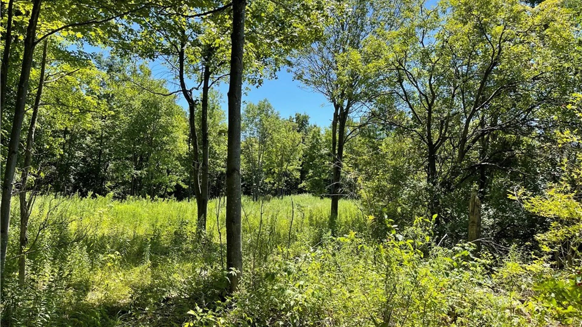 Property at Mill Street, Theresa, NY 13691 3