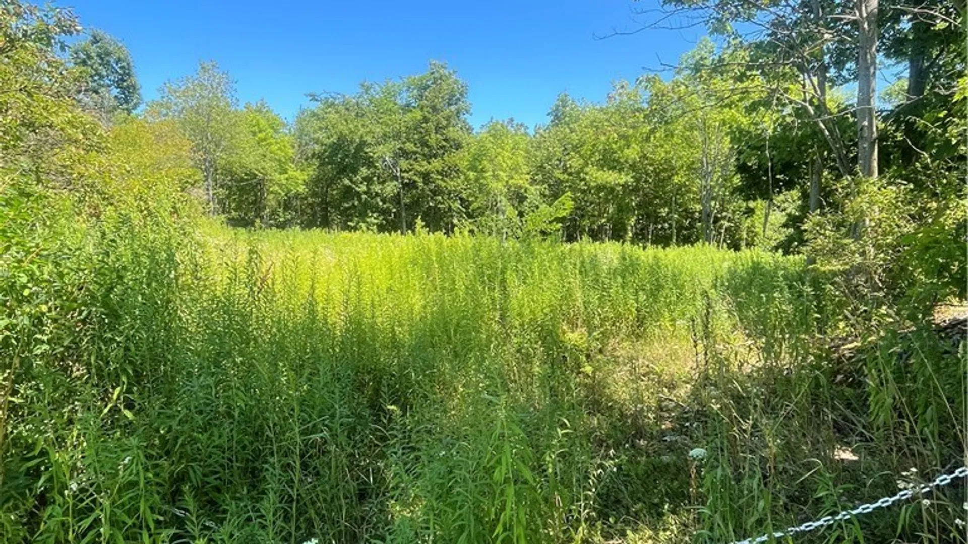 Property at Mill Street, Theresa, NY 13691 23