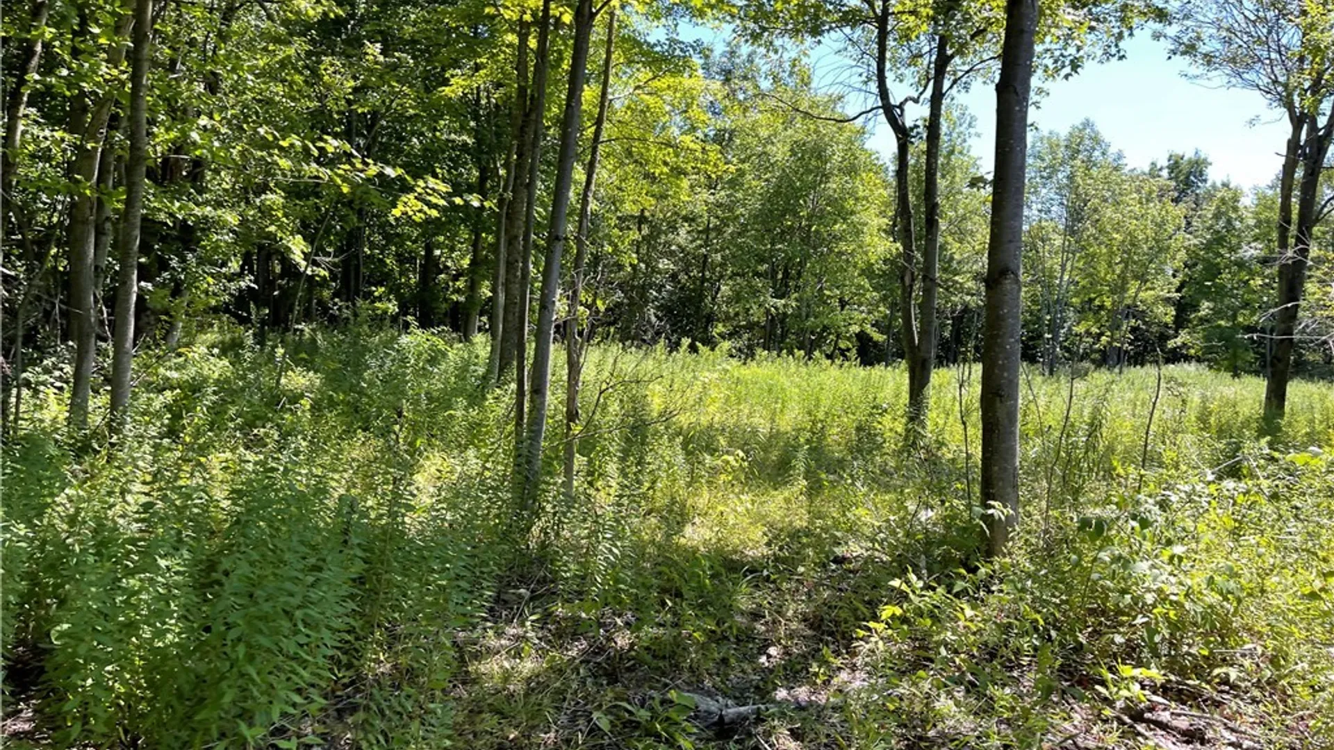 Property at Mill Street, Theresa, NY 13691 4