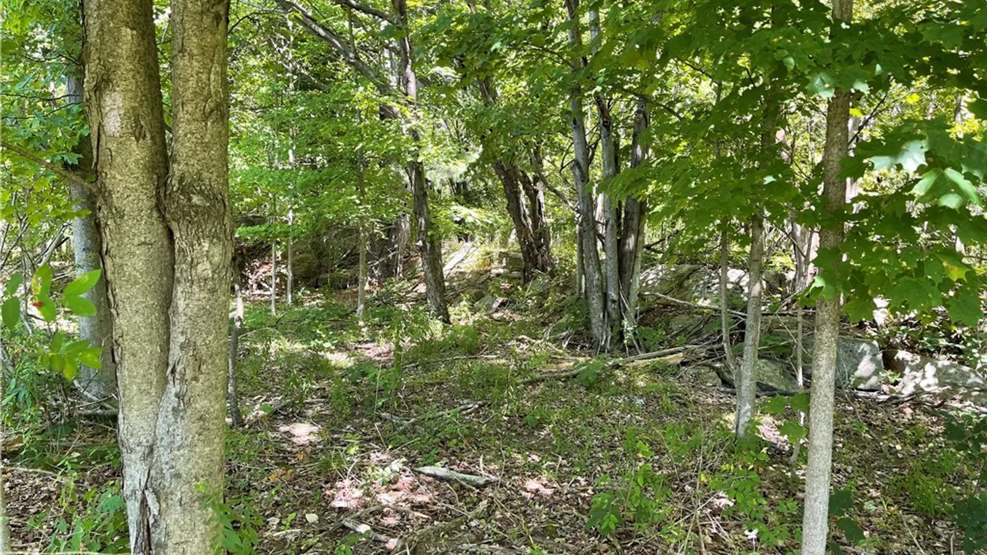 Property at Mill Street, Theresa, NY 13691 7