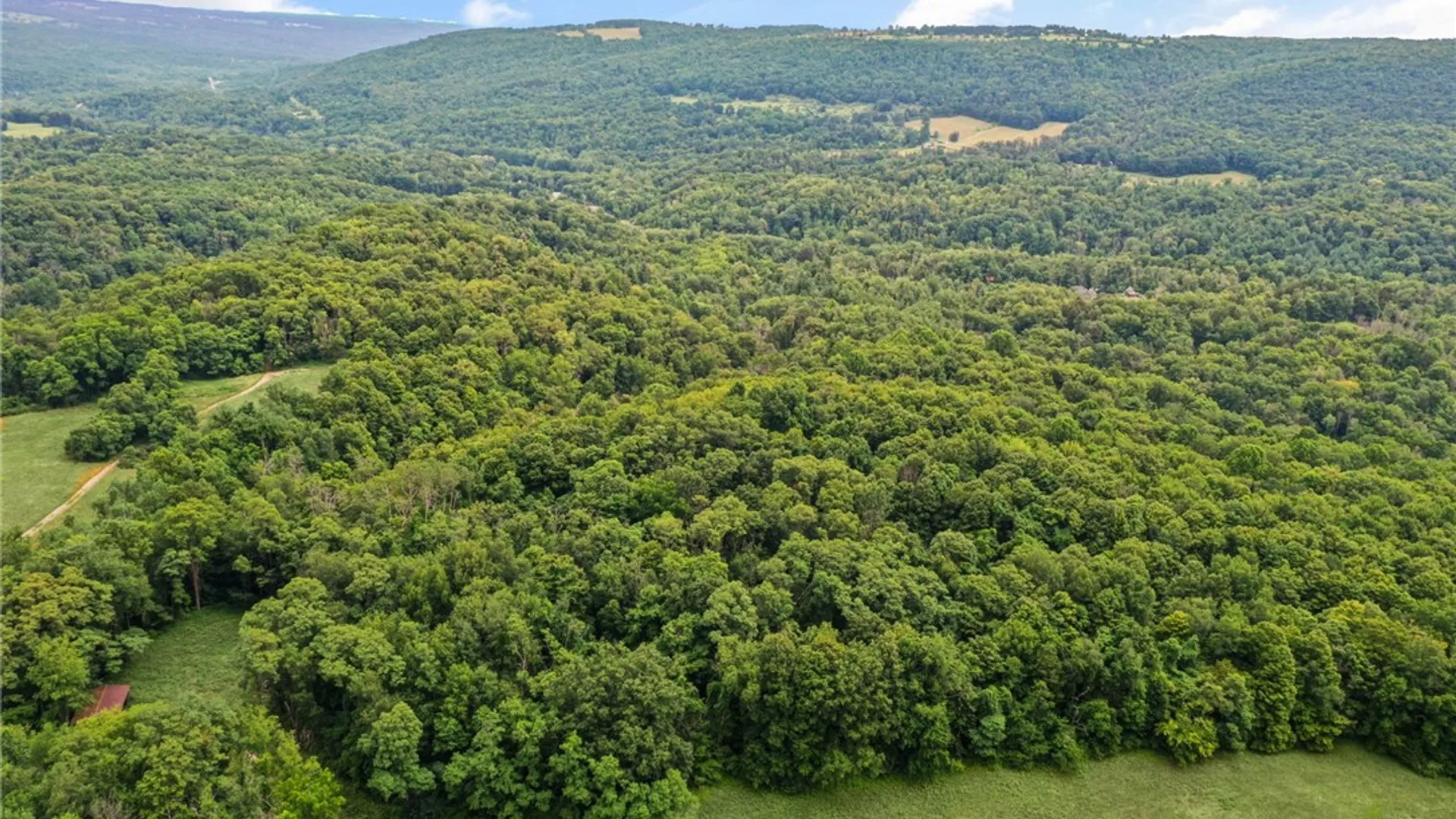 Property at 0 Slators Lane, Newfield, NY 14867 4