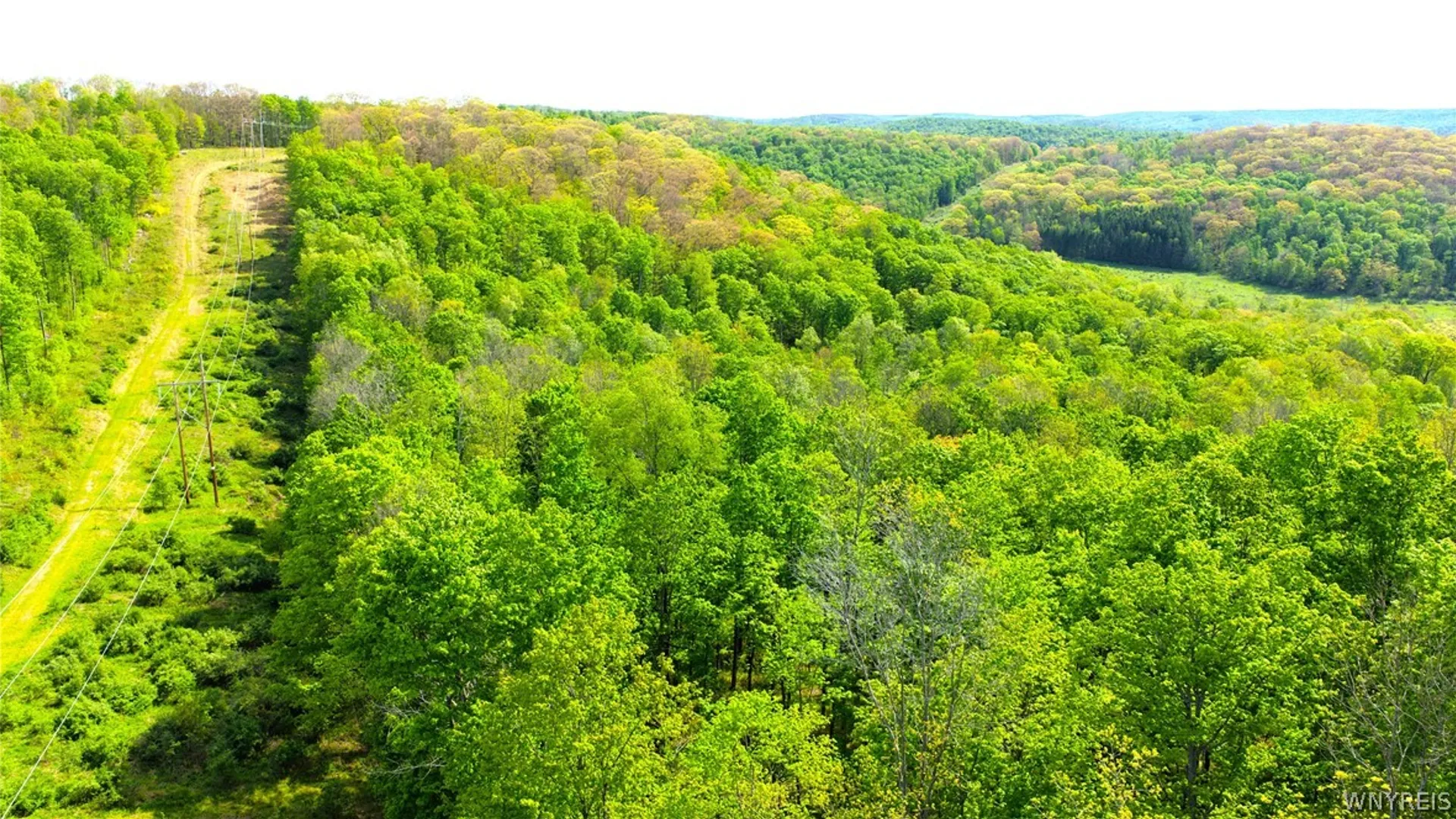 Property at 0 Haines Hollow Road, Great Valley, NY 14741 2