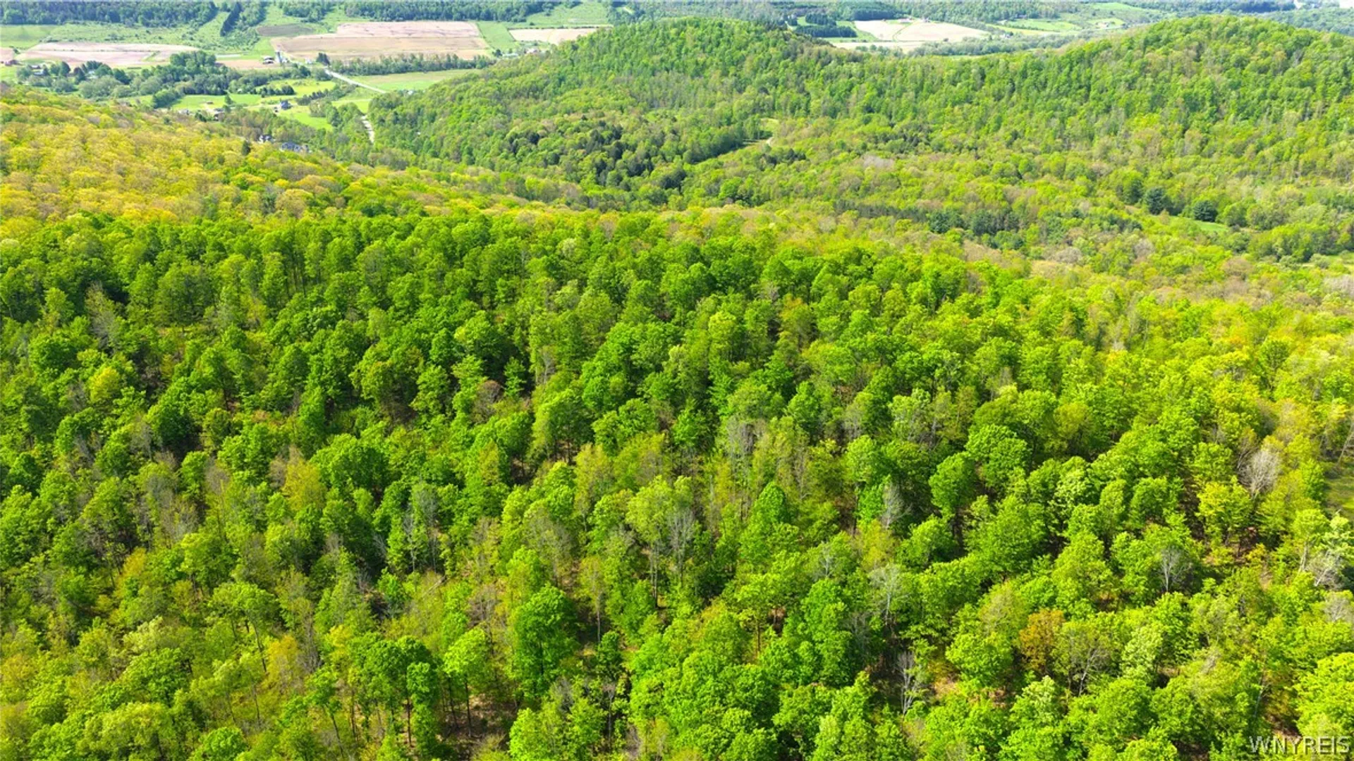 Property at 0 Haines Hollow Road, Great Valley, NY 14741 3
