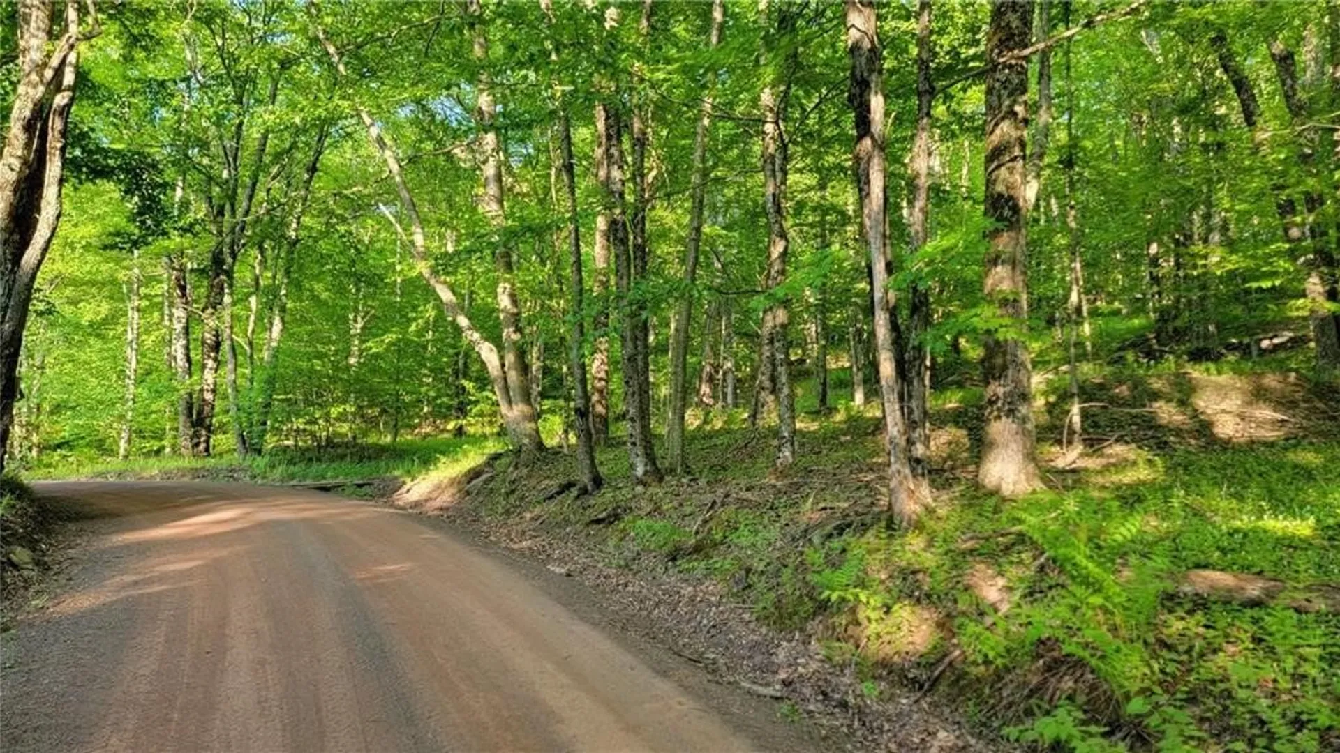 Property at Jim Lane Road, Bovina, NY 13740 4