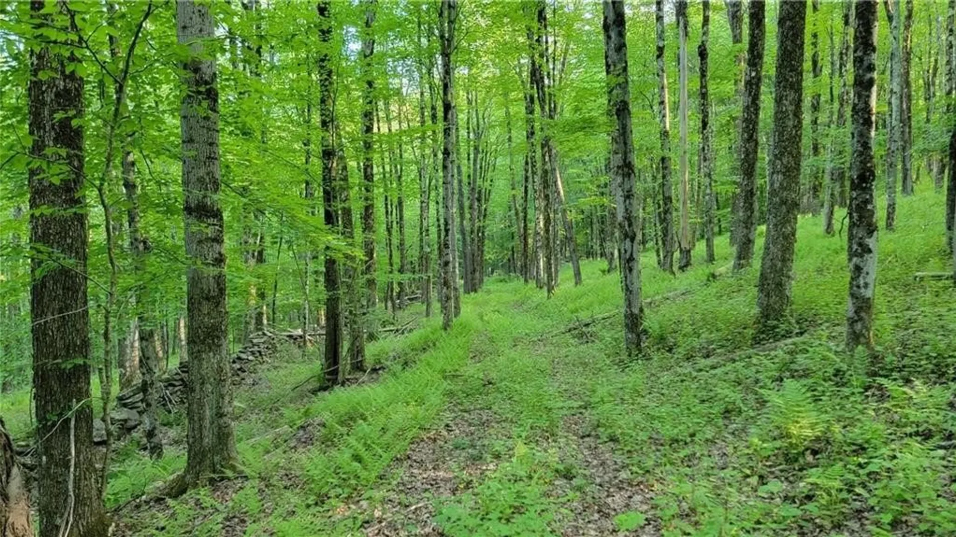 Property at Jim Lane Road, Bovina, NY 13740 19