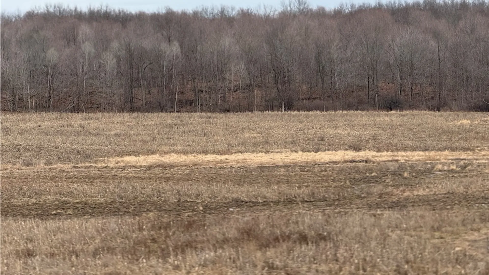 Property at Cr 12, Gouverneur, NY 13642 14