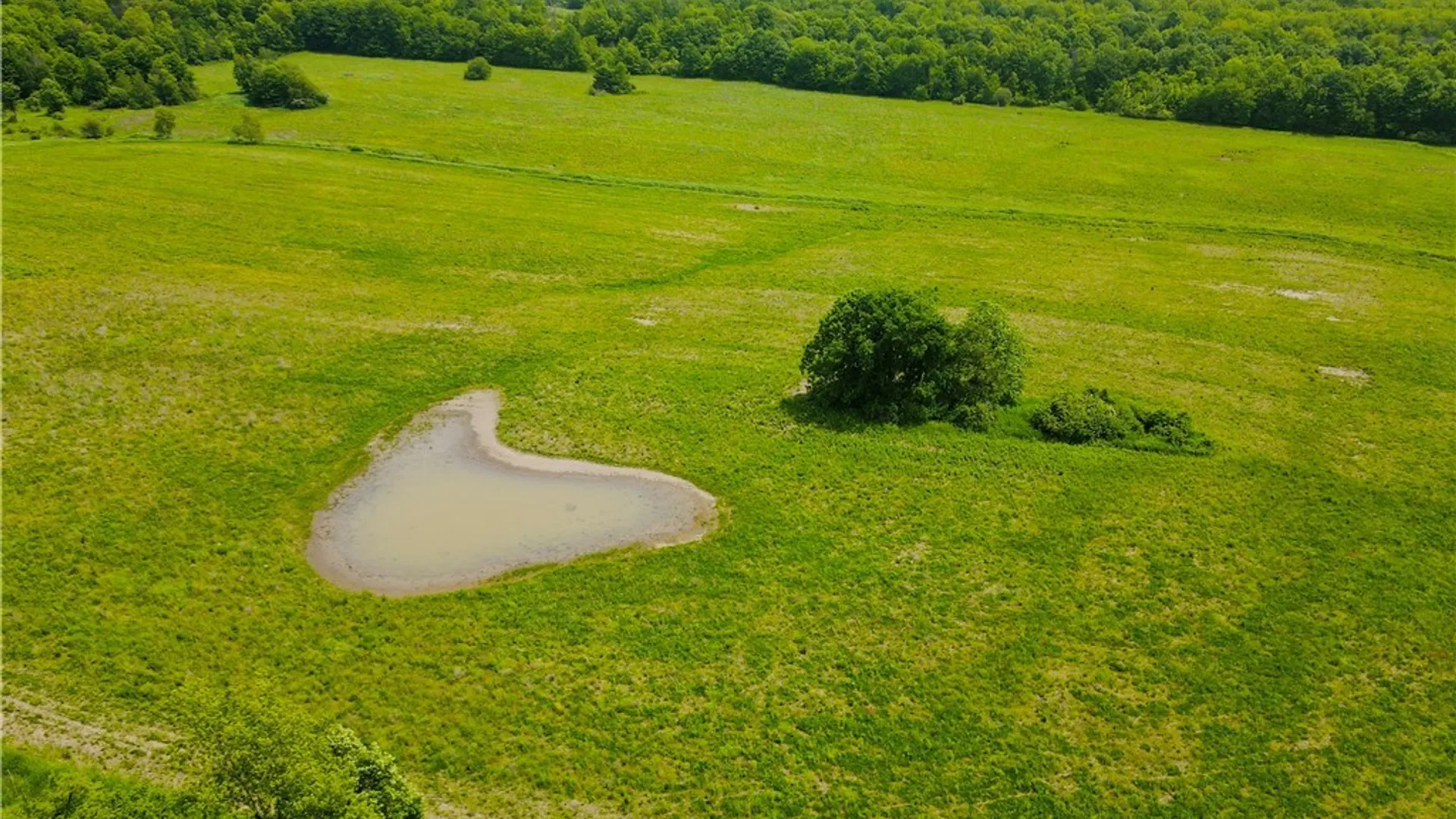 Property at Cr 12, Gouverneur, NY 13642 8