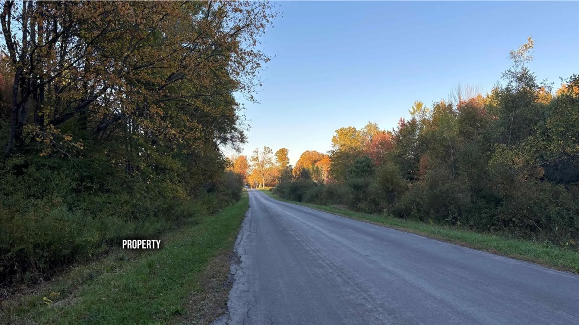 Property at 273 White Road, Parish, NY 13131 18