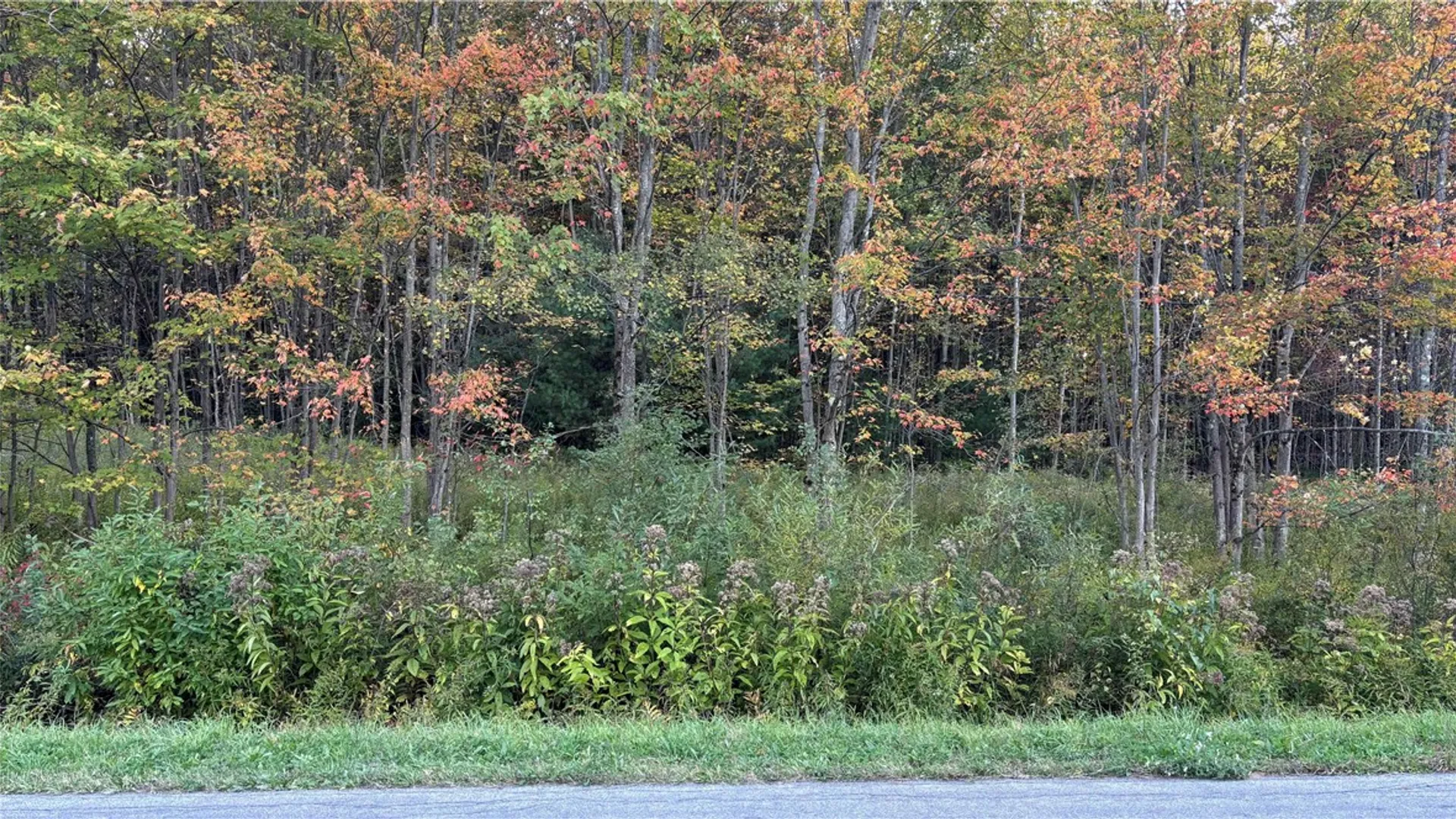 Property at 273 White Road, Parish, NY 13131 19