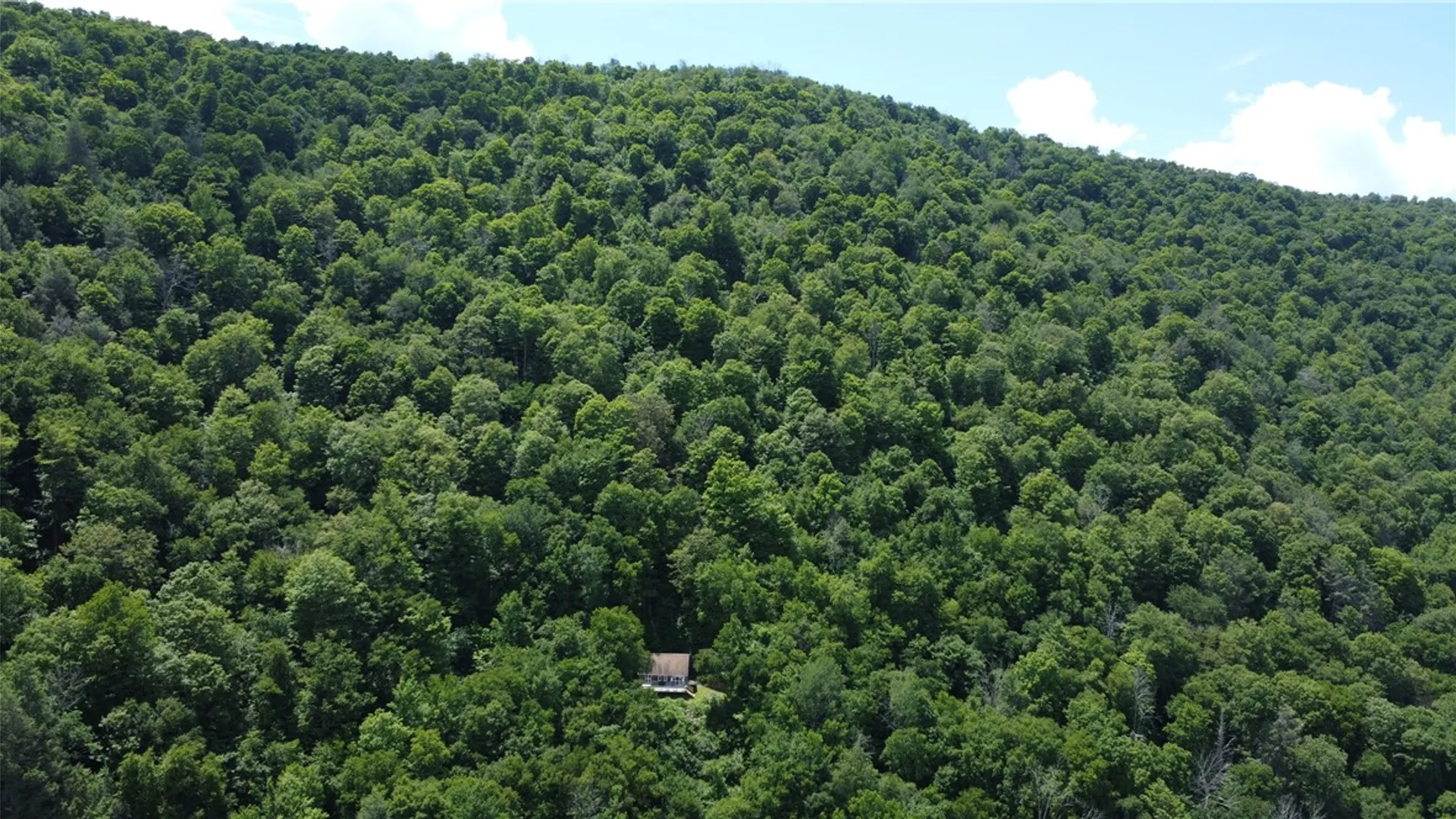 Property at 9595 County Route 268 (Apex Road) Road, Tompkins, NY 13783 27