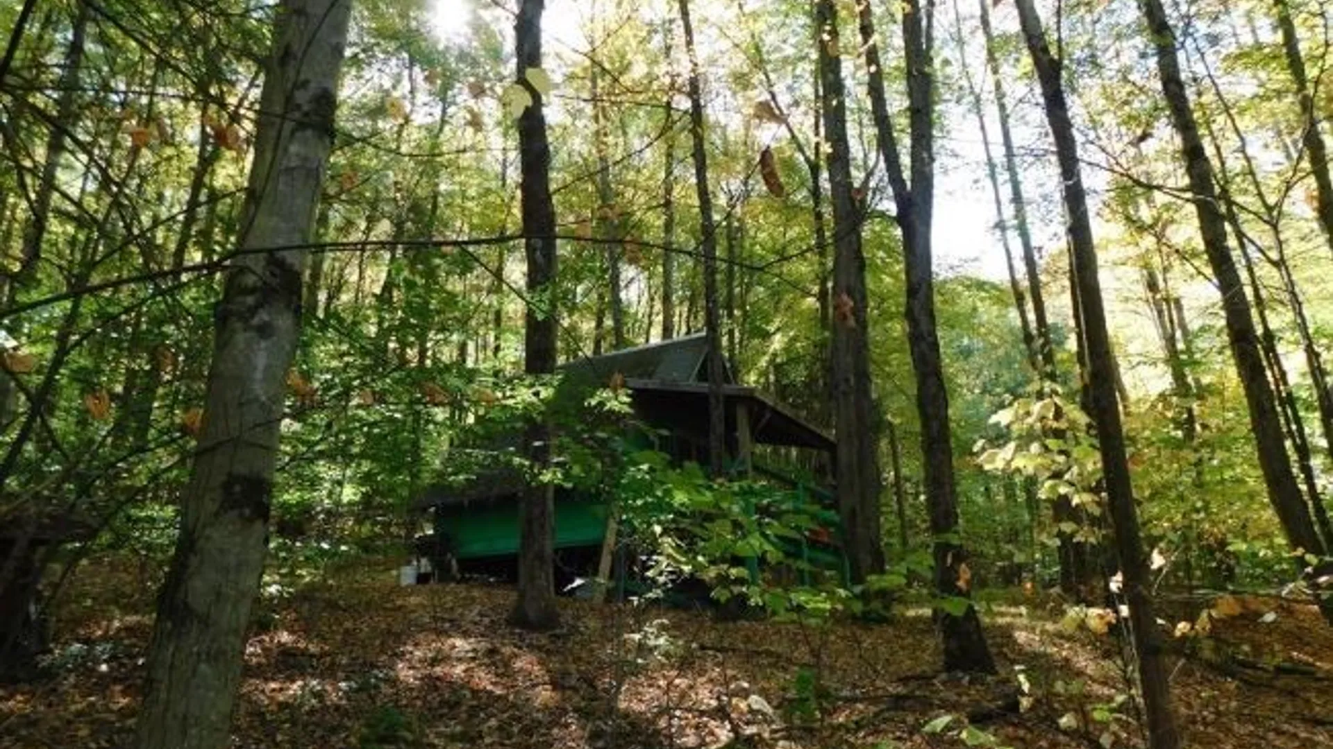 Property at 8005 Johnson Hill Road, Clarksville, NY 14715 11