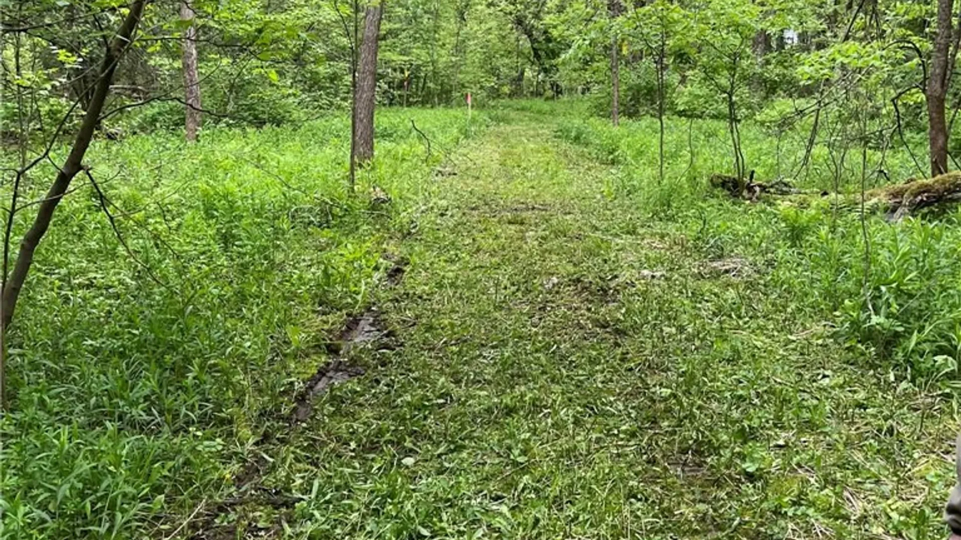 Property at 0 W End Avenue, Wilna, NY 13619 6
