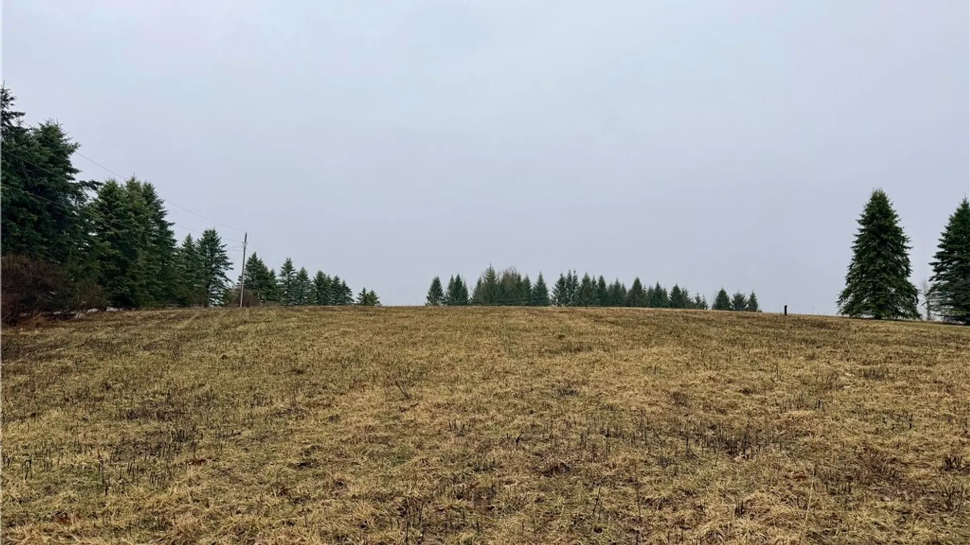 Property at 243 Mumbulo Road, Pittsfield, NY 13335 35