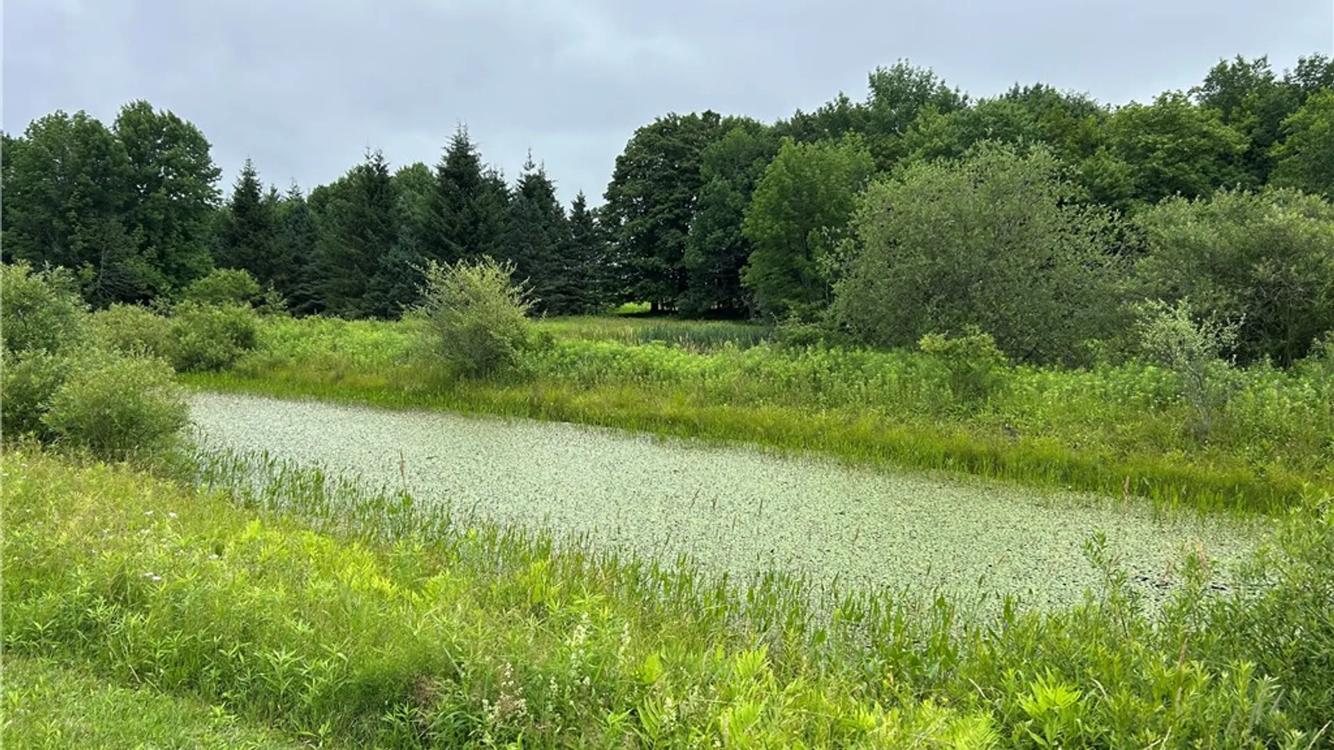 Property at 243 Mumbulo Road, Pittsfield, NY 13335 30