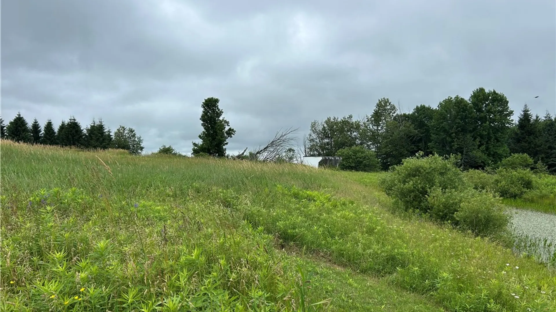 Property at 243 Mumbulo Road, Pittsfield, NY 13335 31