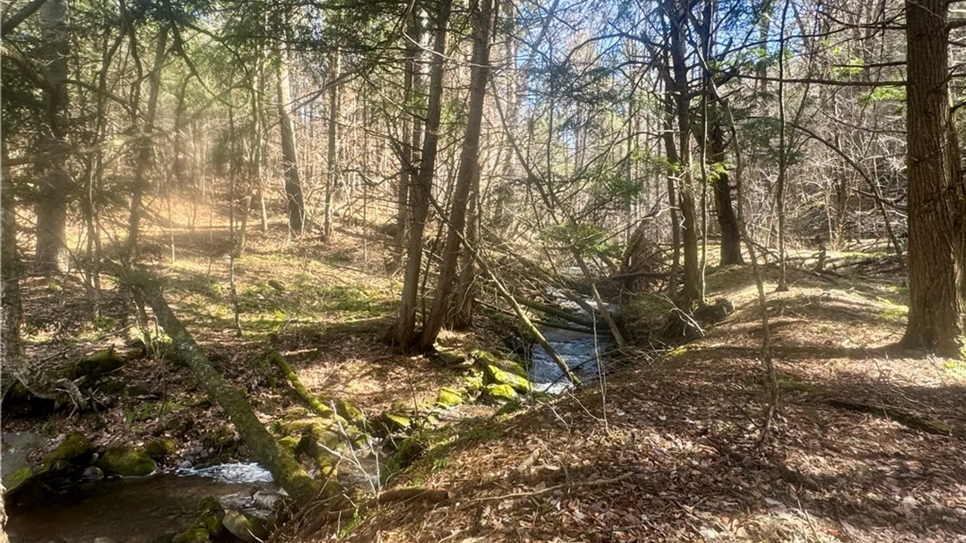 Property at 656 Grange Hall Road, Franklin, NY 13820 42
