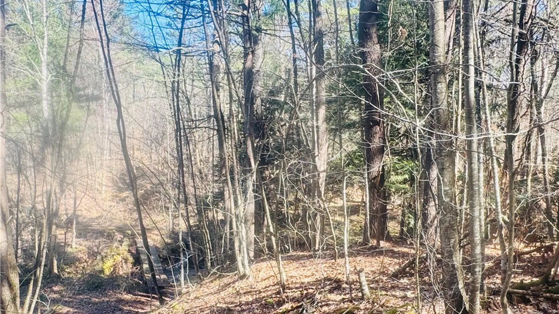 Property at 656 Grange Hall Road, Franklin, NY 13820 43