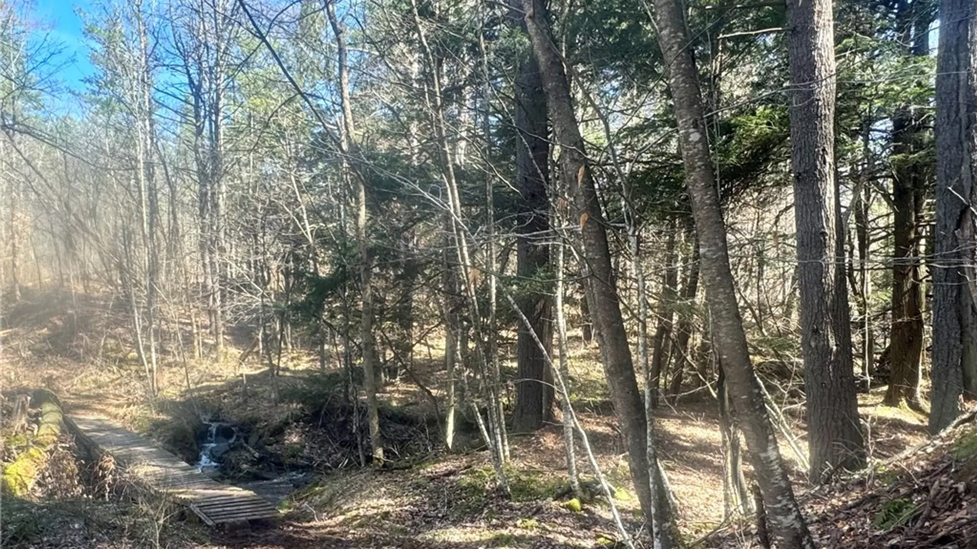 Property at 656 Grange Hall Road, Franklin, NY 13820 44