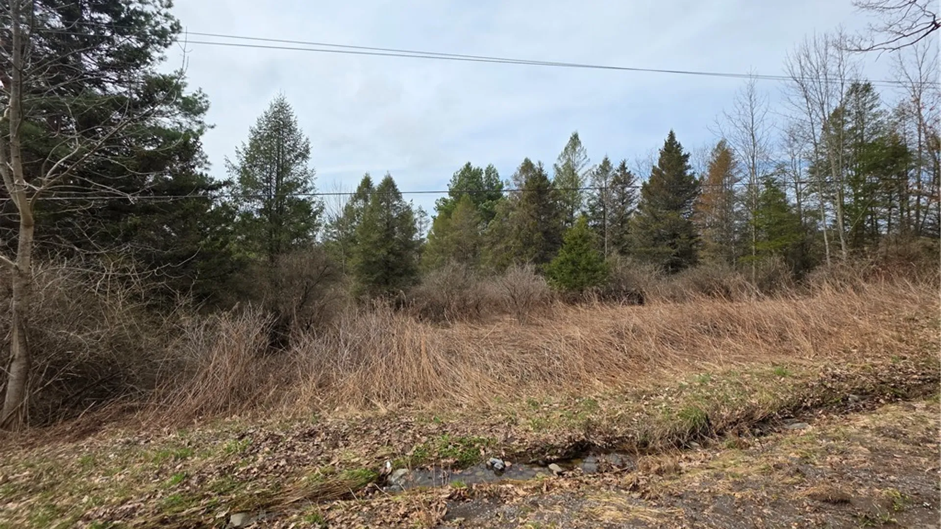 Property at Dingman Hill Road, Bainbridge, NY 13733 3