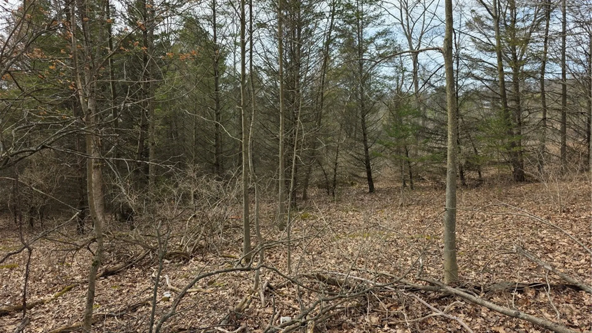 Property at Dingman Hill Road, Bainbridge, NY 13733 11