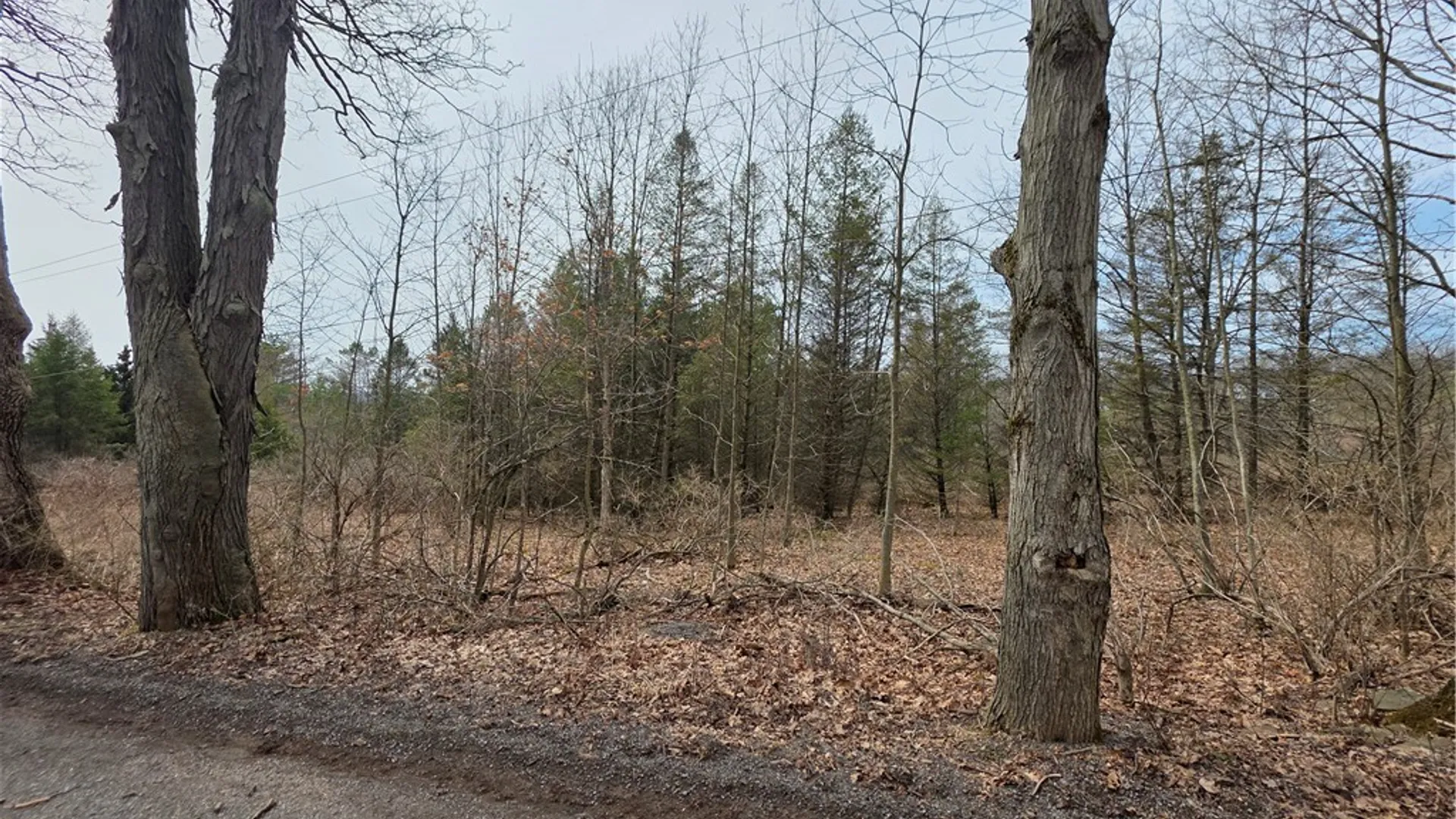 Property at Dingman Hill Road, Bainbridge, NY 13733 7