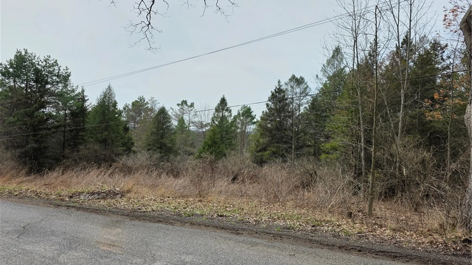 Property at Dingman Hill Road, Bainbridge, NY 13733 4