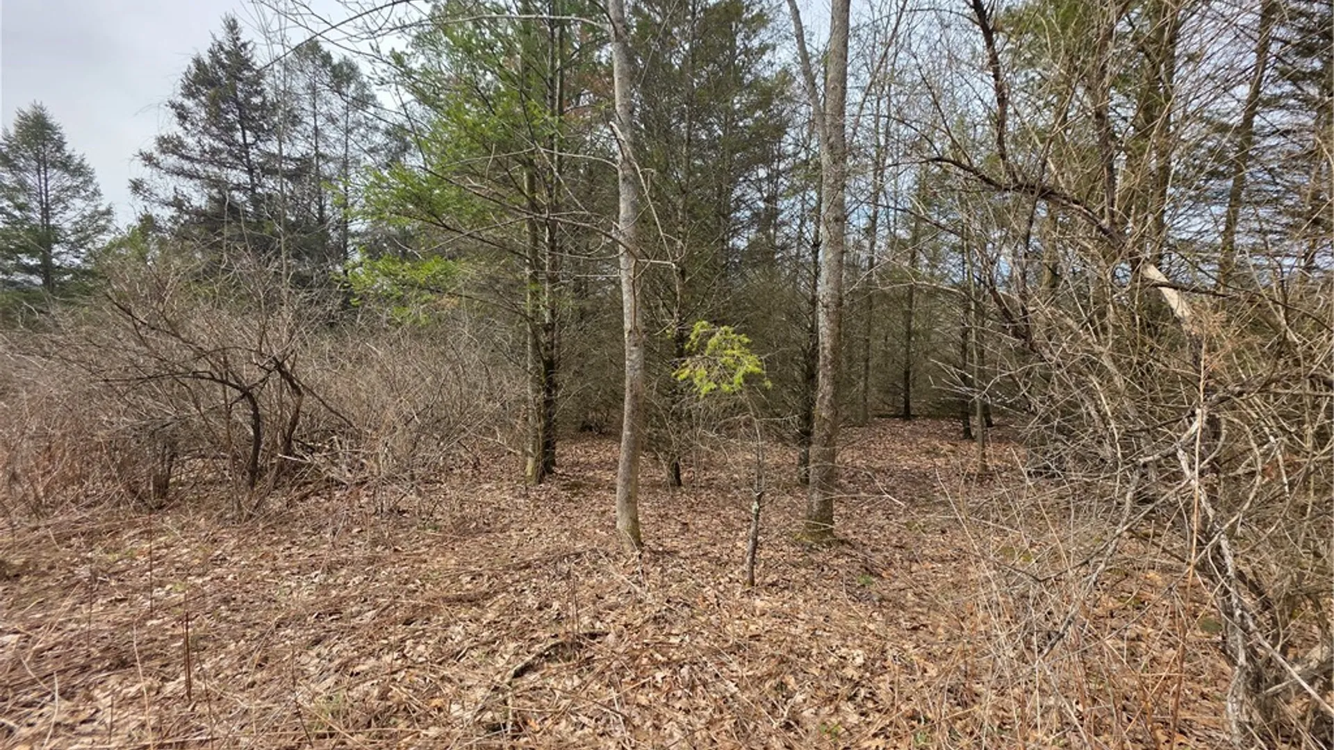 Property at Dingman Hill Road, Bainbridge, NY 13733 12