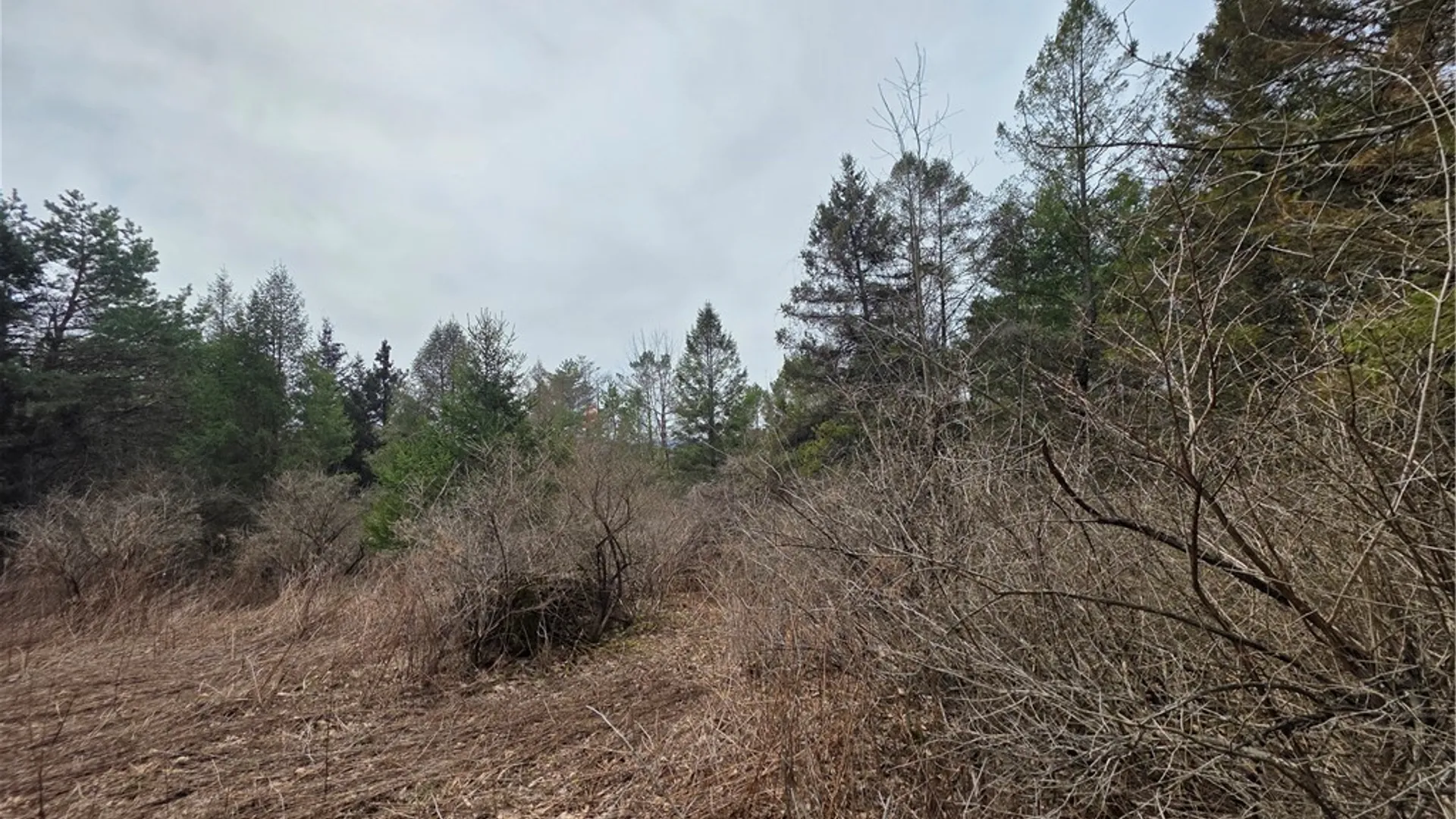 Property at Dingman Hill Road, Bainbridge, NY 13733 9