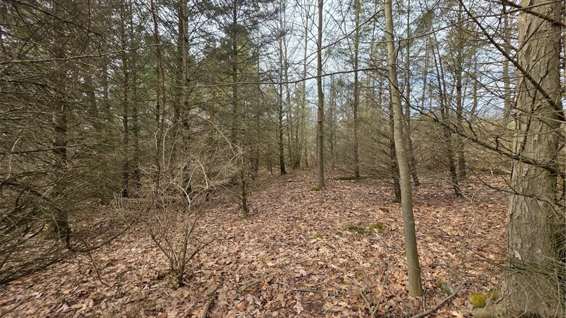 Property at Dingman Hill Road, Bainbridge, NY 13733 13