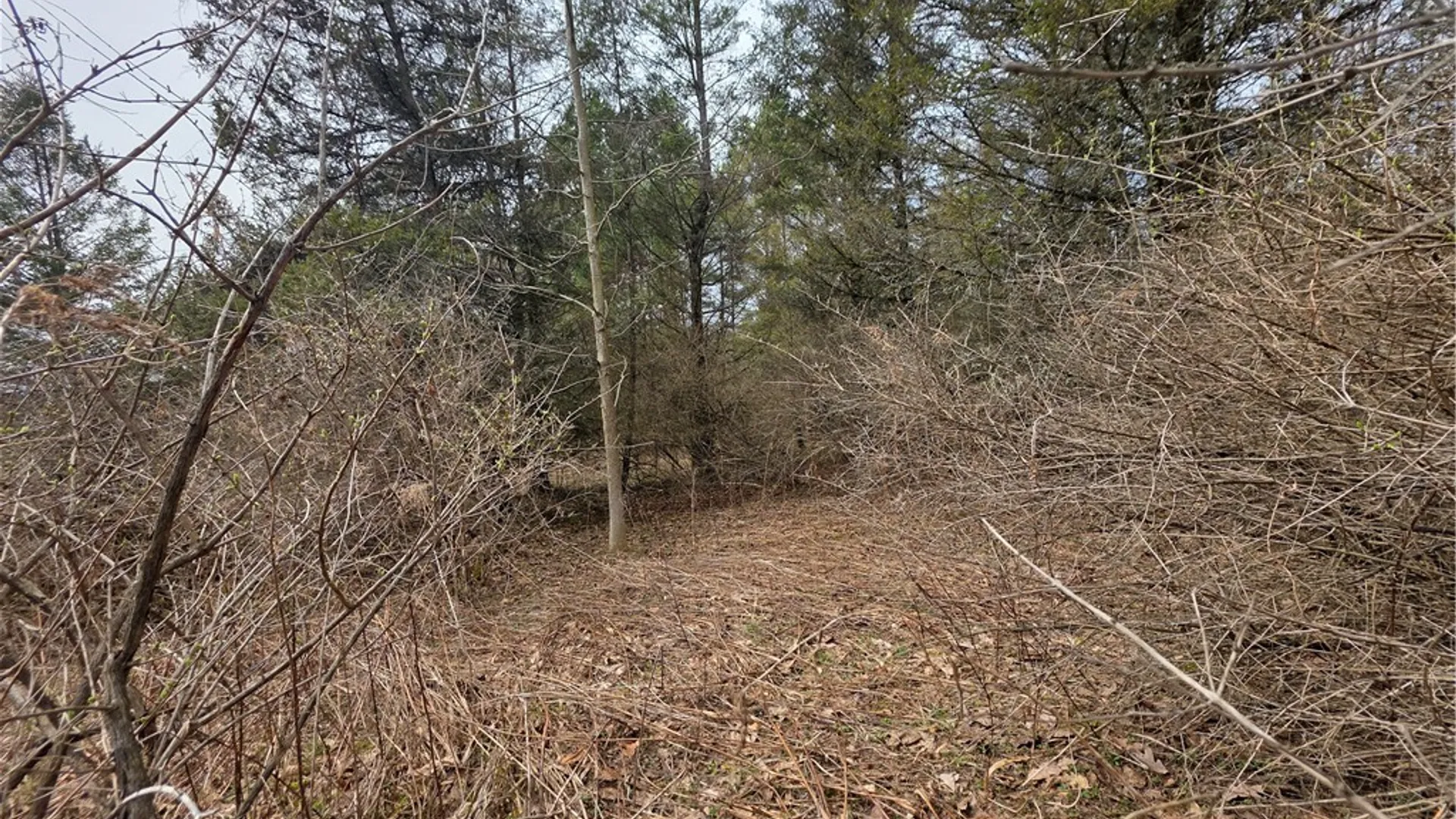 Property at Dingman Hill Road, Bainbridge, NY 13733 16