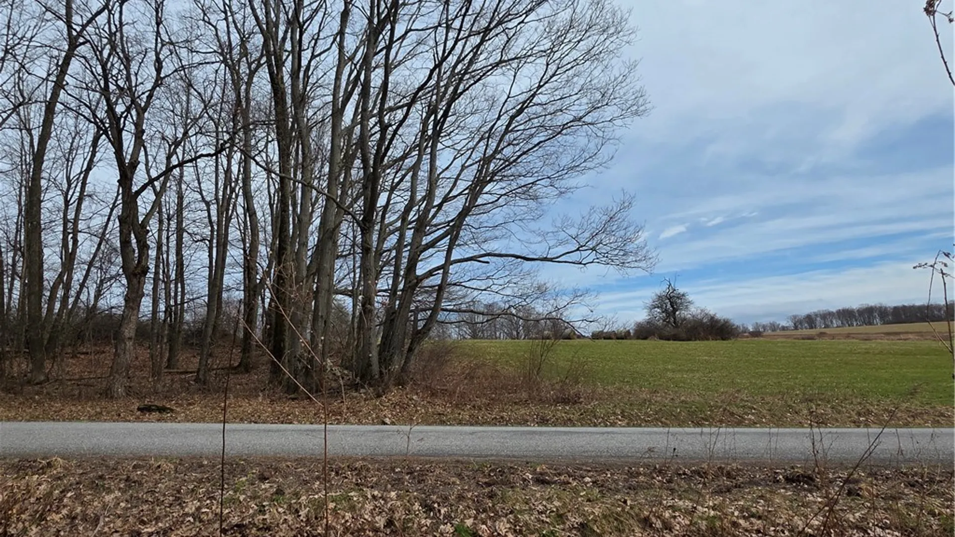Property at Dingman Hill Road, Bainbridge, NY 13733 19