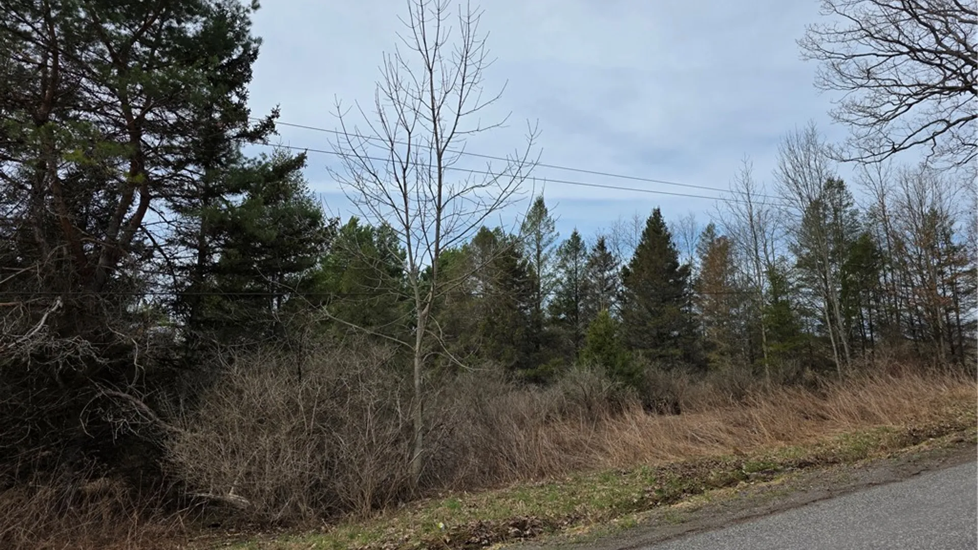 Property at Dingman Hill Road, Bainbridge, NY 13733 18